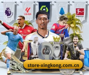 国际化进程 | xingkong